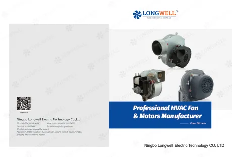 AC DC EC AC DC EC Gas Blower — catalogue cover